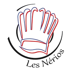 logo-lesnerios